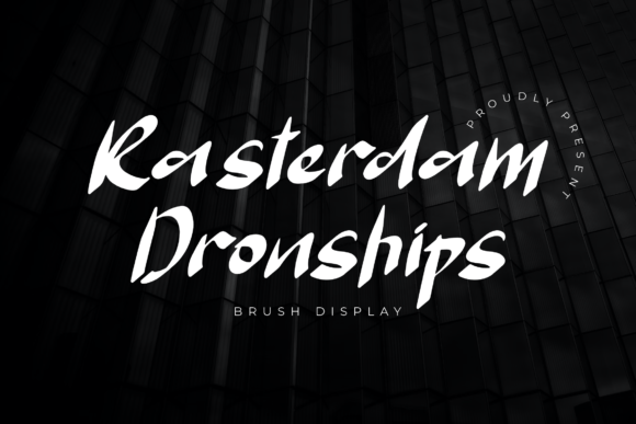 How Rasterdam Dronships Elevates Web Design and Brand Identity