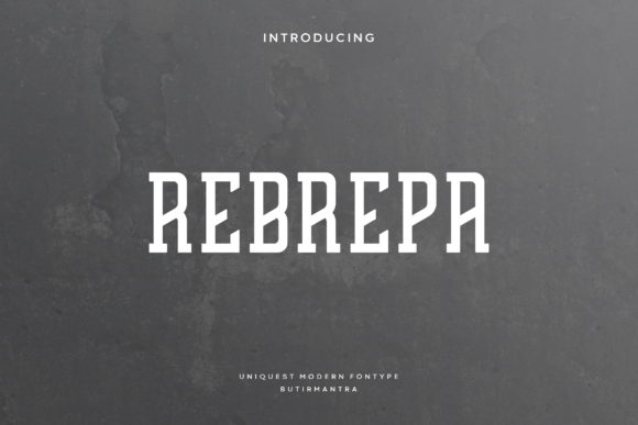 Rebrepa: The Modern Serif Typeface for Polished Web Design