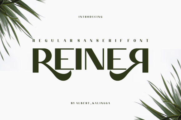 Reiner: The Bold Serif Typeface That Transformed My Small Business Brand