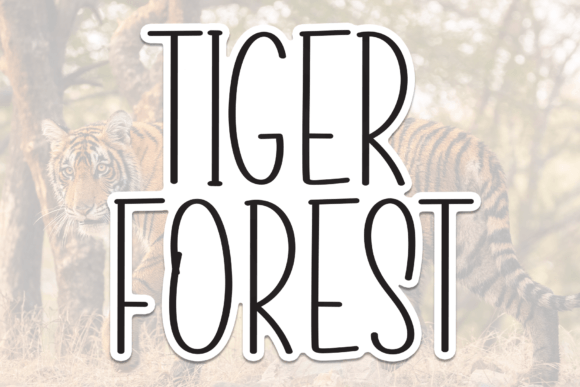 Tiger Forest: A Handwritten Typeface for Warm Editorial Design