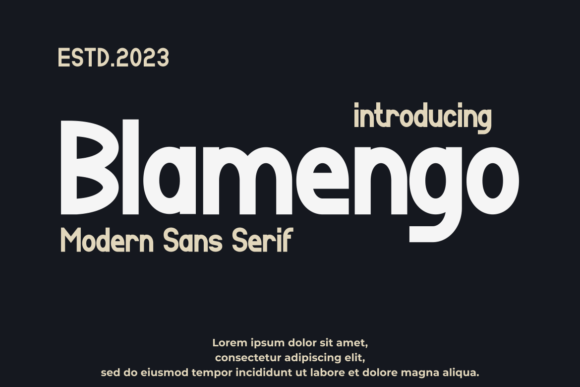Why Blamengo is the Perfect Sans Serif for Modern Editorial Design