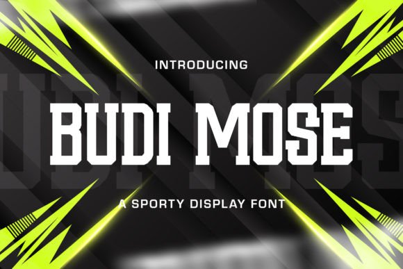 Why Budi Mose Is the Perfect Sans Serif Font for Modern Web Design