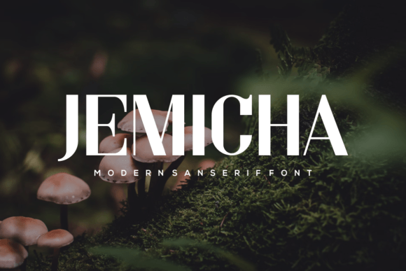 Why Jemicha Is the Perfect Sans Serif for Modern Editorial Design