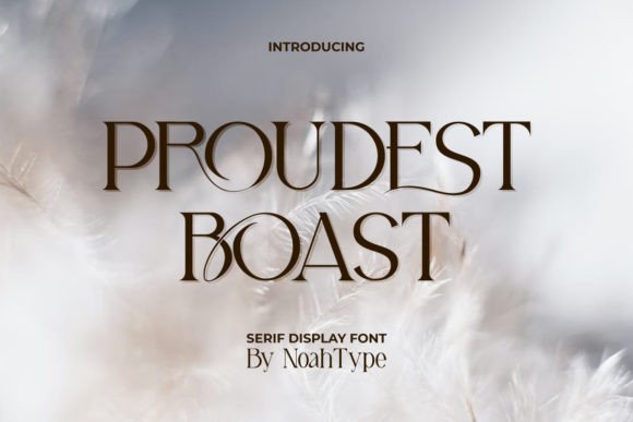 Why Proudest Boast Is the Serif Display Font Your Brand Needs